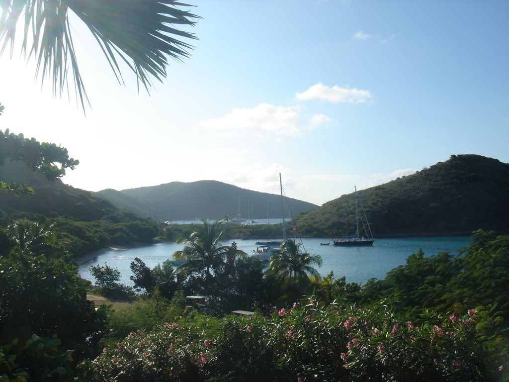 BVI8.jpg