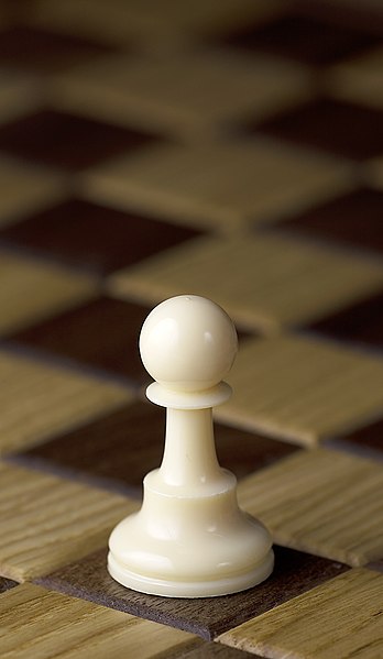 348px-Chess_piece_-_White_pawn.JPG