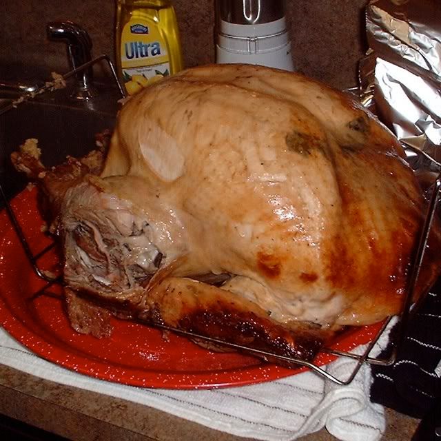 turkey.jpg