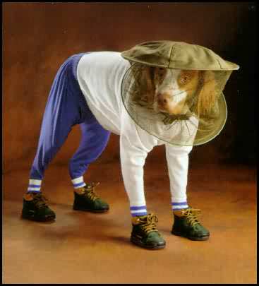 dog-bee.jpg