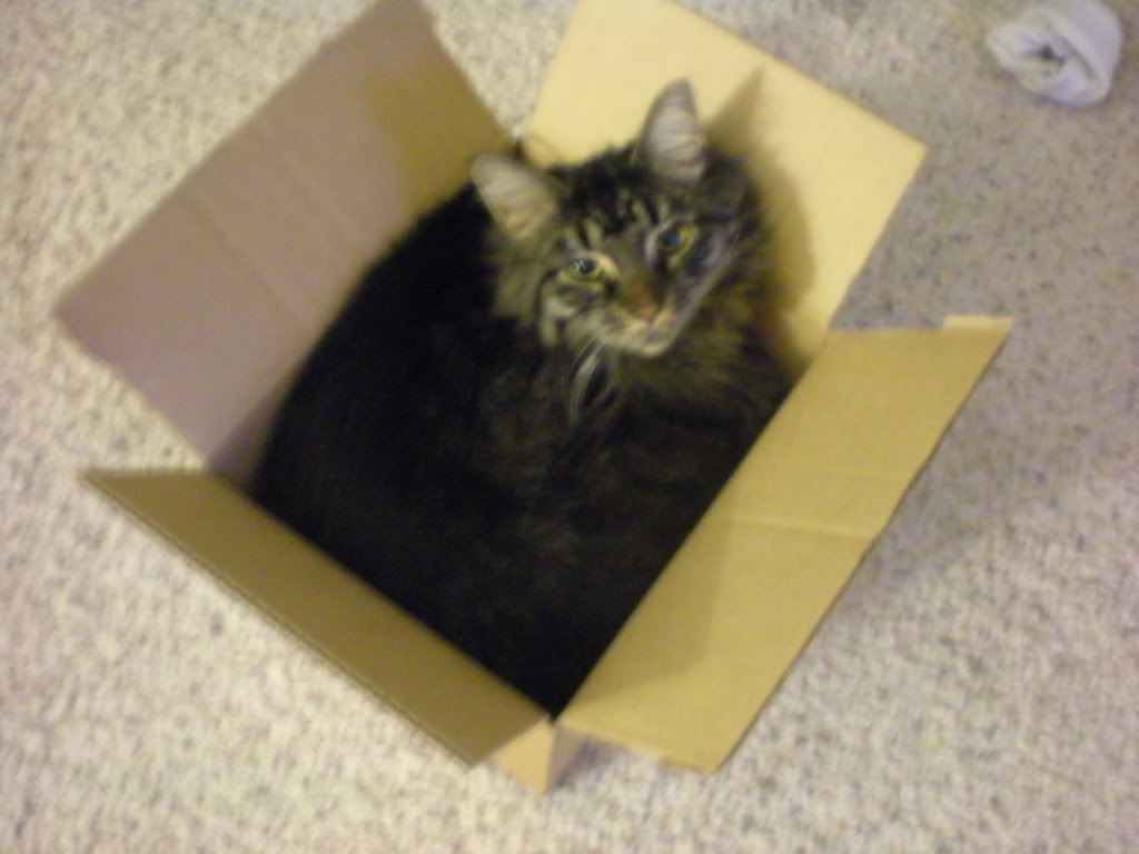 10-31-09001.jpg