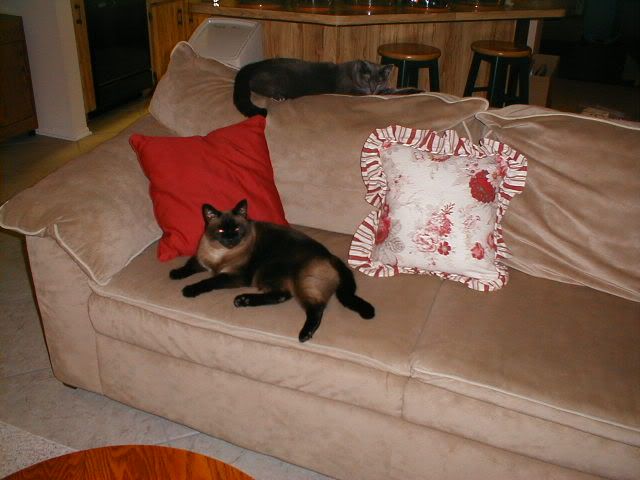 P1010001.jpg