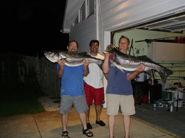 BIGFISH.jpg
