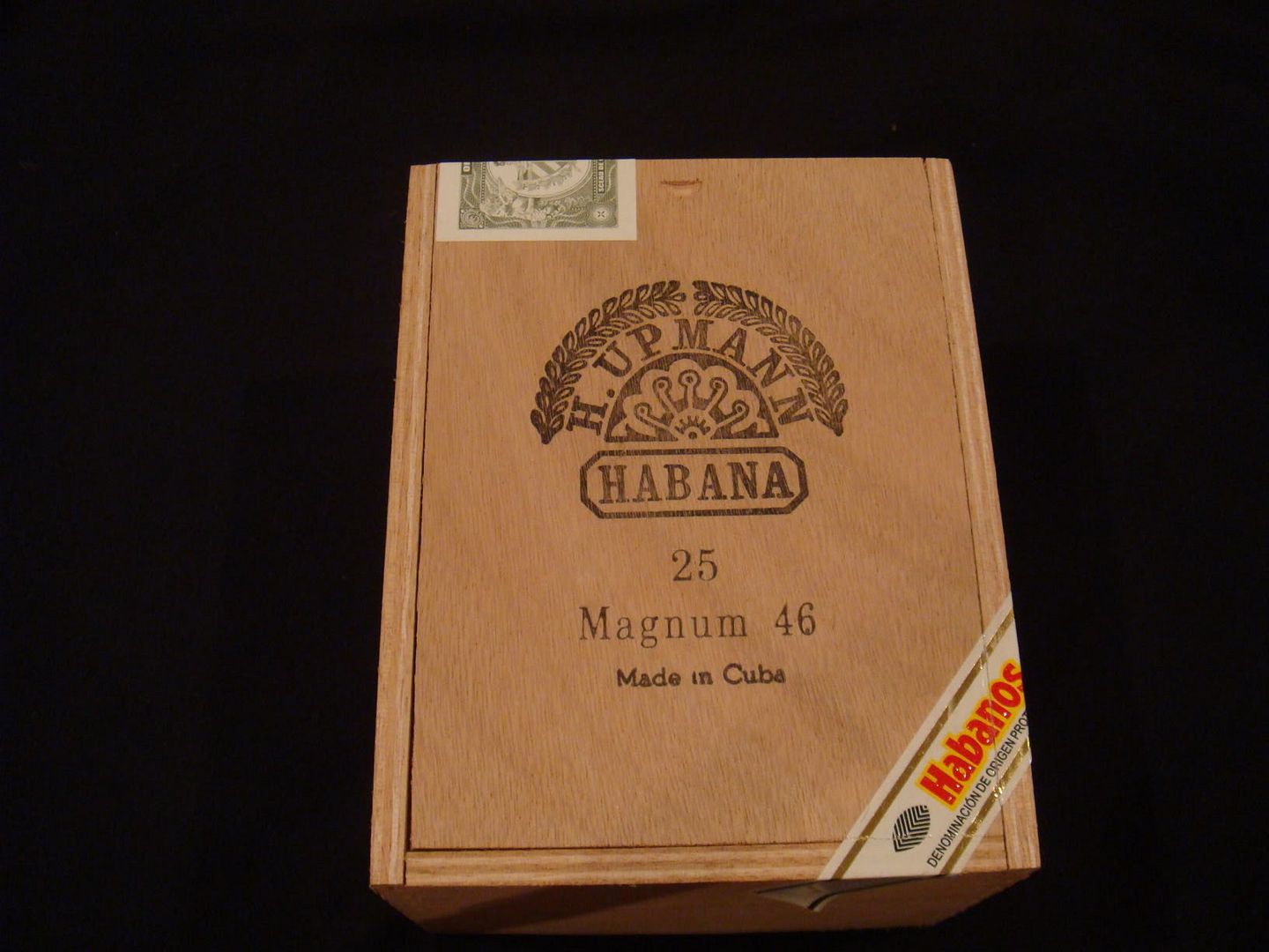 DSC01010.jpg