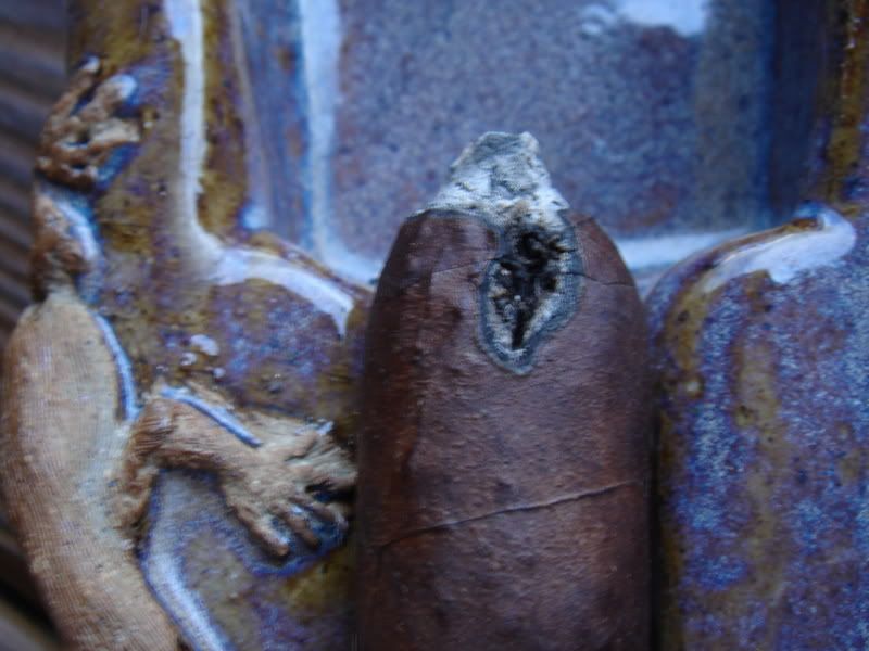 WOAM005.jpg