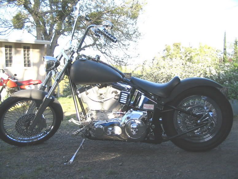 Softail.jpg