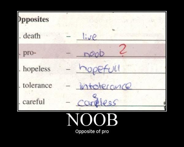 Noob.jpg