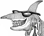 shark1.jpg
