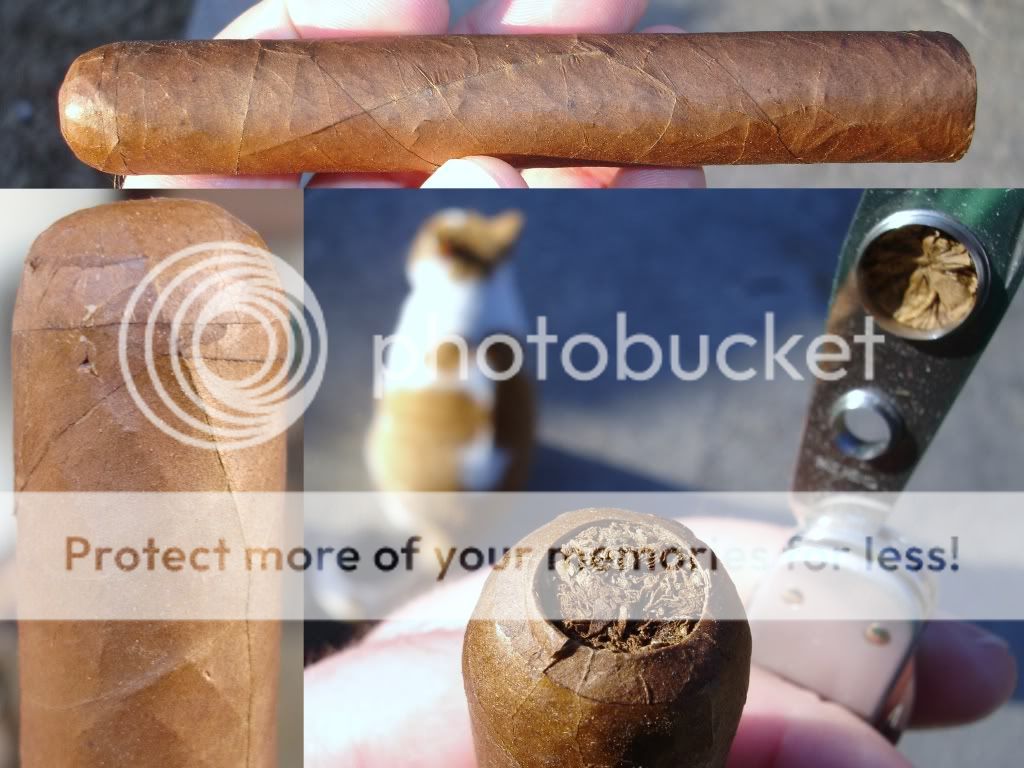MokiStickNo11001.jpg