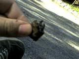 img044.jpg