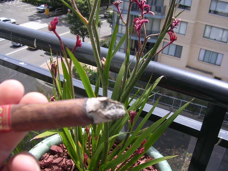 DSCN2828.jpg
