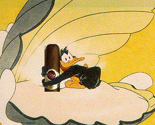 daffy_zps085b36f8.gif