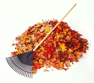 rake-leaves.jpg
