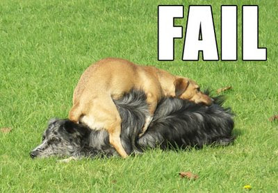 fail-dog.jpg