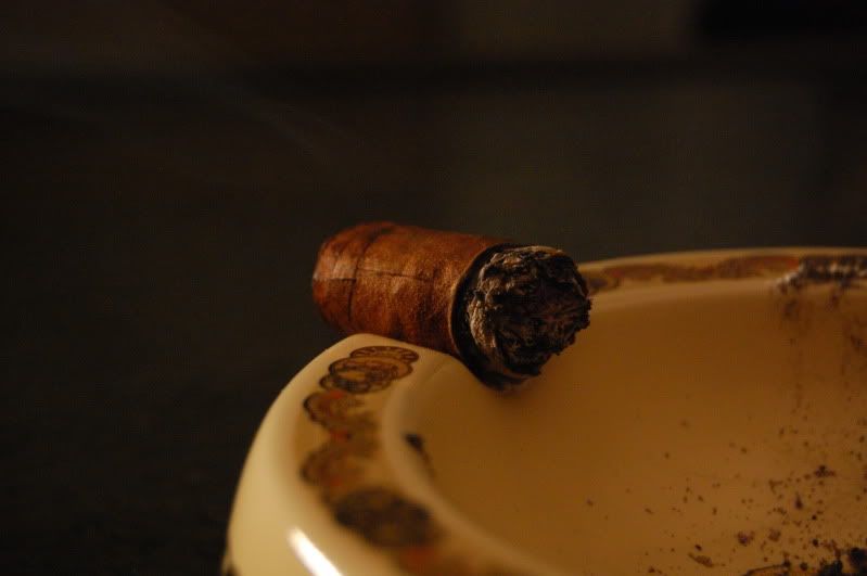 DSC_2833.jpg