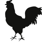jonesfarminc.com
