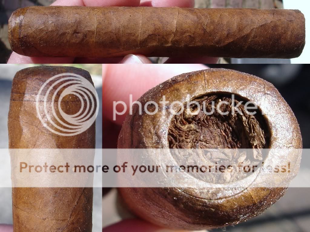 11-27-08RASS05001.jpg