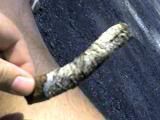 img041.jpg