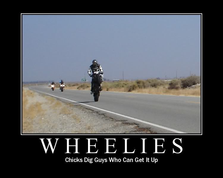 wheeliegag.jpg