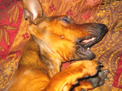 118_1850.jpg
