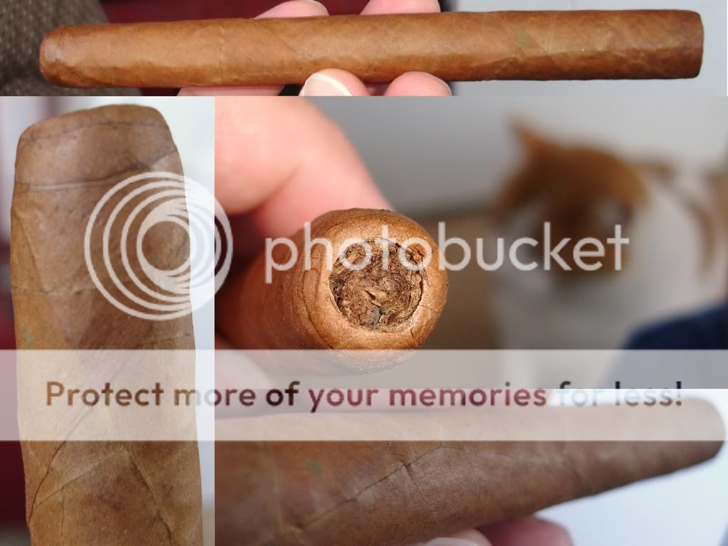 01-31-09Mokistick5001.jpg