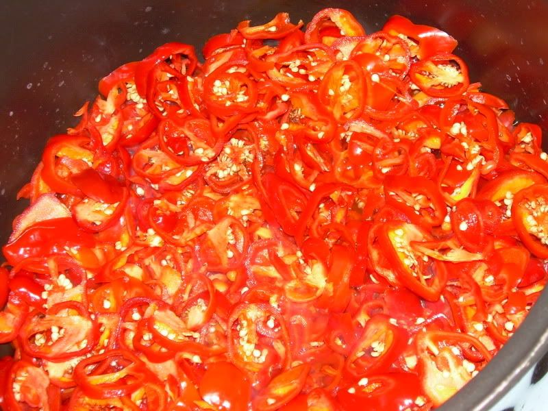 DSCN1748.jpg