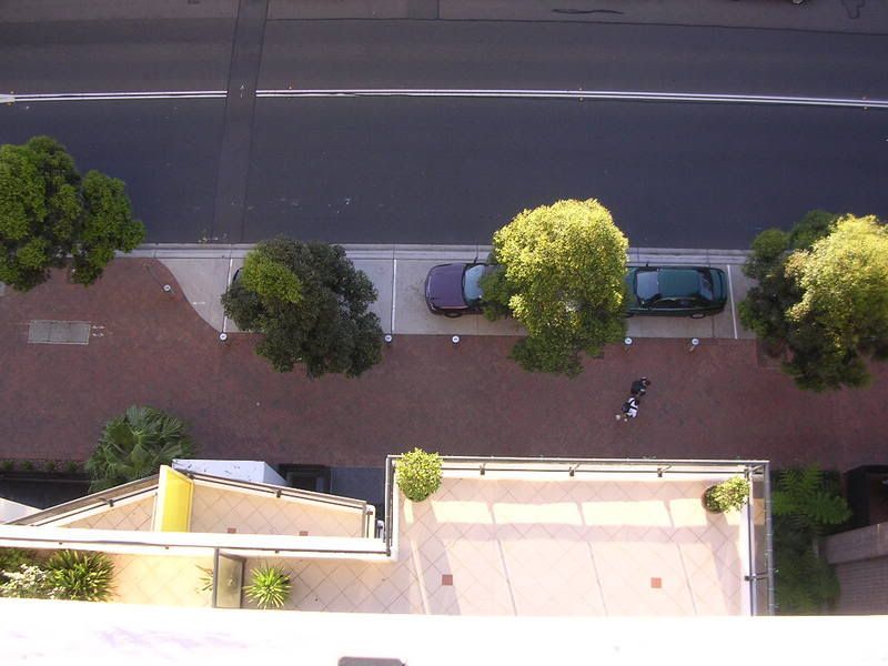 DSCN2981.jpg