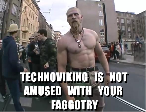 technoviking-fagotry.jpg