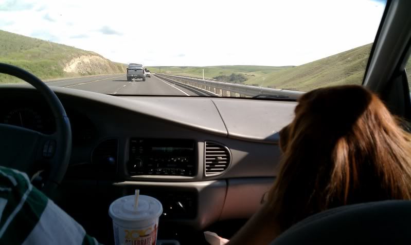 IMAG0010.jpg