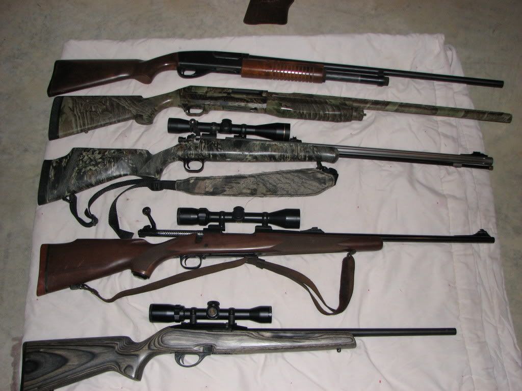 guns002.jpg