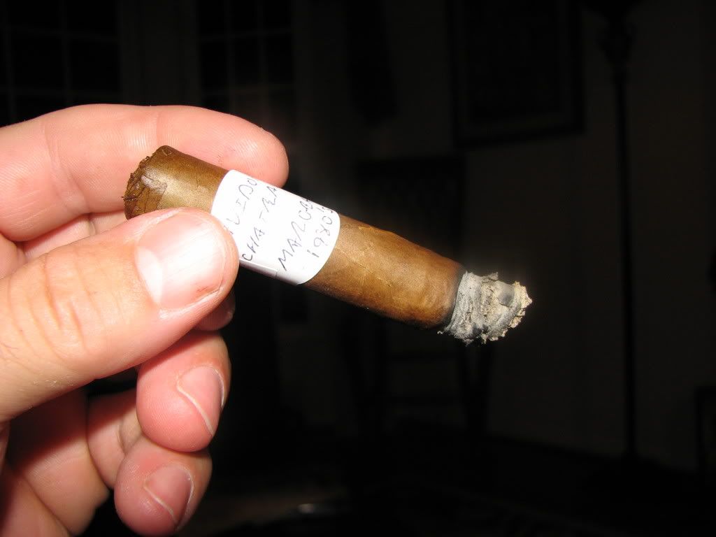 Davidoff006.jpg