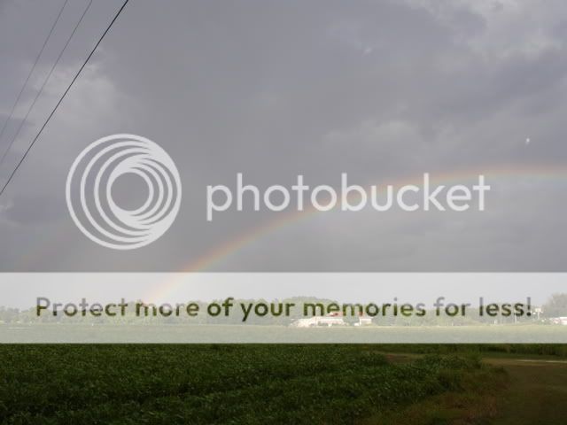 DSC01224.jpg