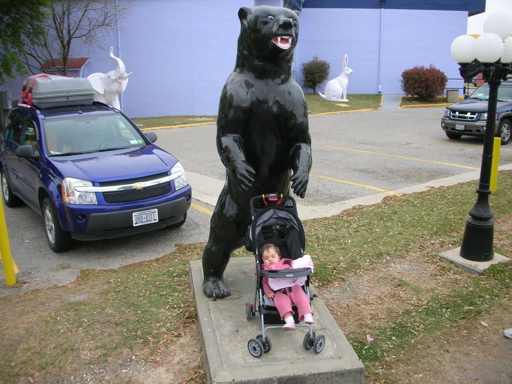 DSCN0799.jpg