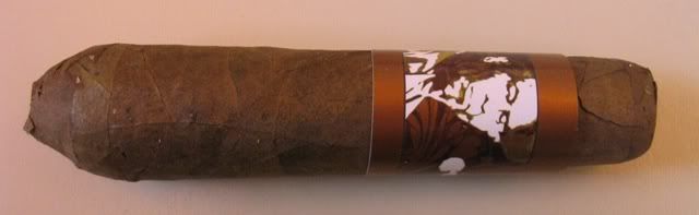 AvalonCigarReview-HoneyBoy001.jpg