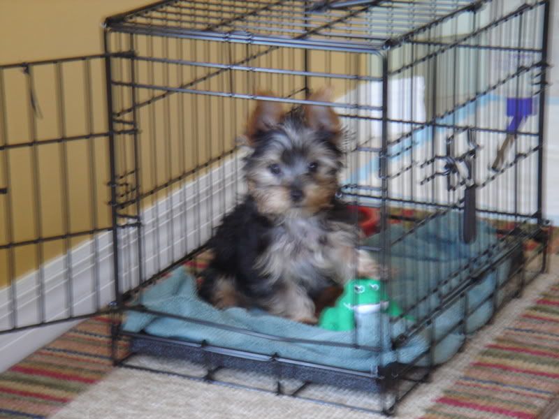 Chester-1stDay013.jpg