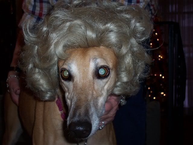 wig4.jpg