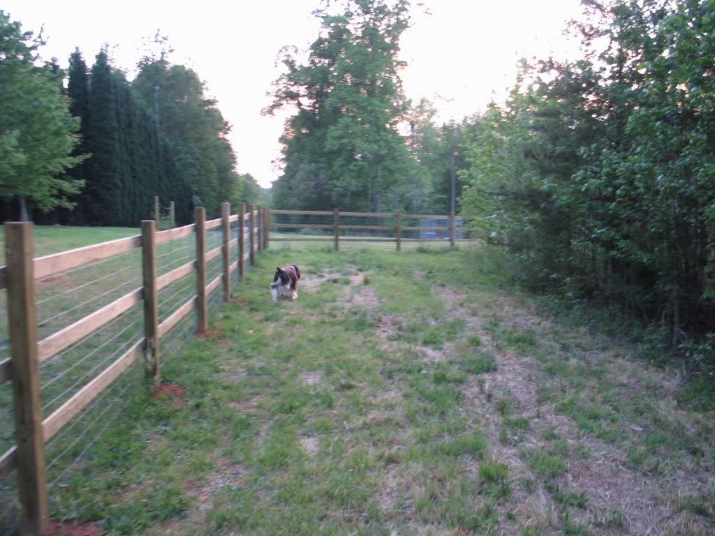 FencePictures043.jpg