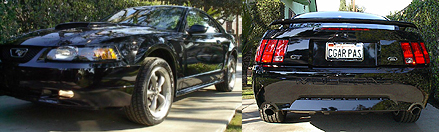 mustangsig.jpg