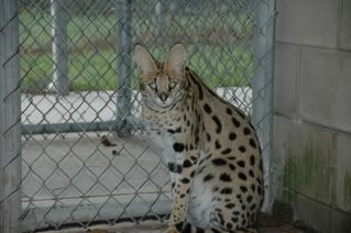 DSC_8693.jpg