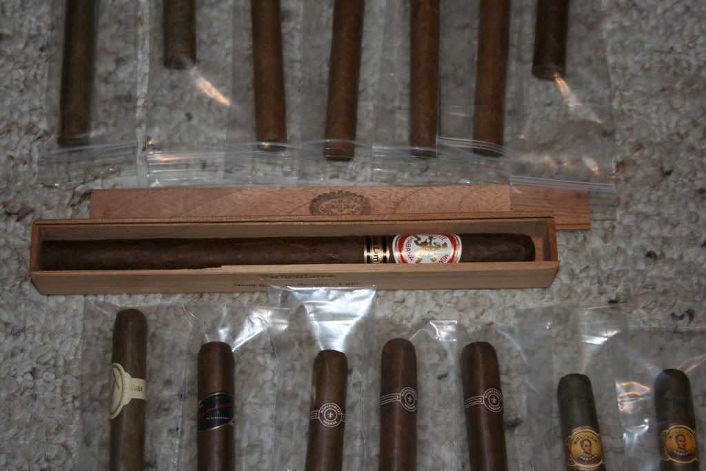 09-19-2008004.jpg