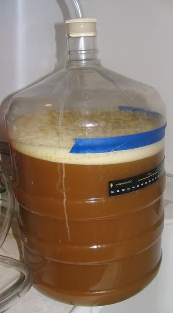 RyePa001.jpg