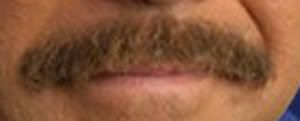 mustache1.jpg