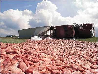 porkporkpork-1.jpg