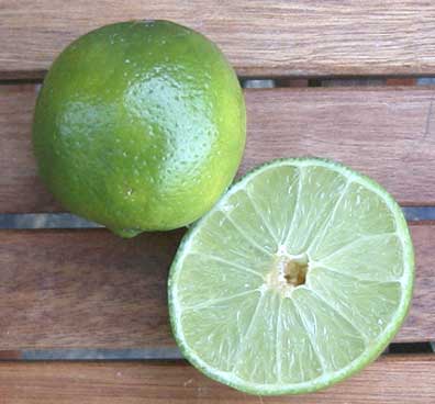 fresh_lime.jpg