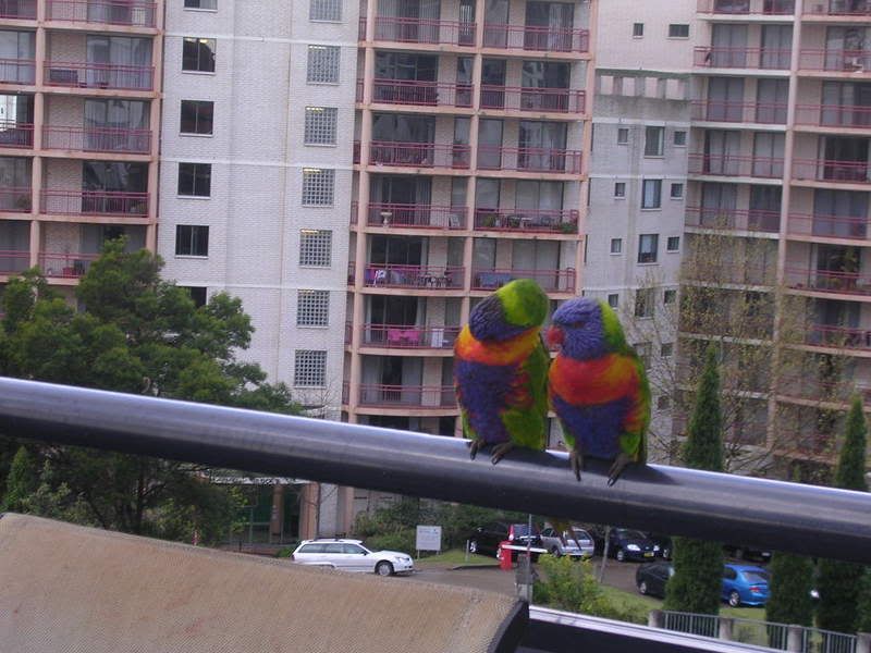 DSCN2804.jpg