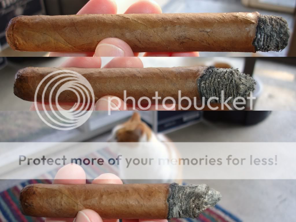 02-04-09StickNo2002.jpg