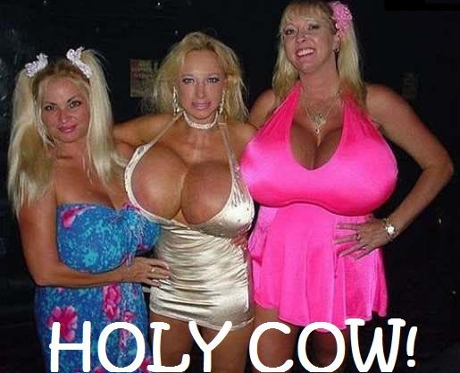 Holy_Cow.jpg