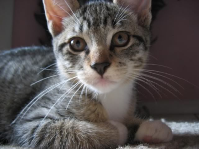 TheBoy2.jpg