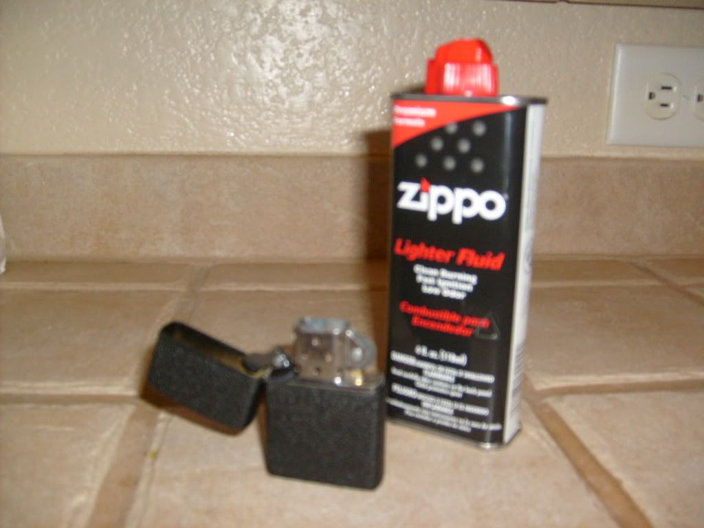 S6301137.jpg