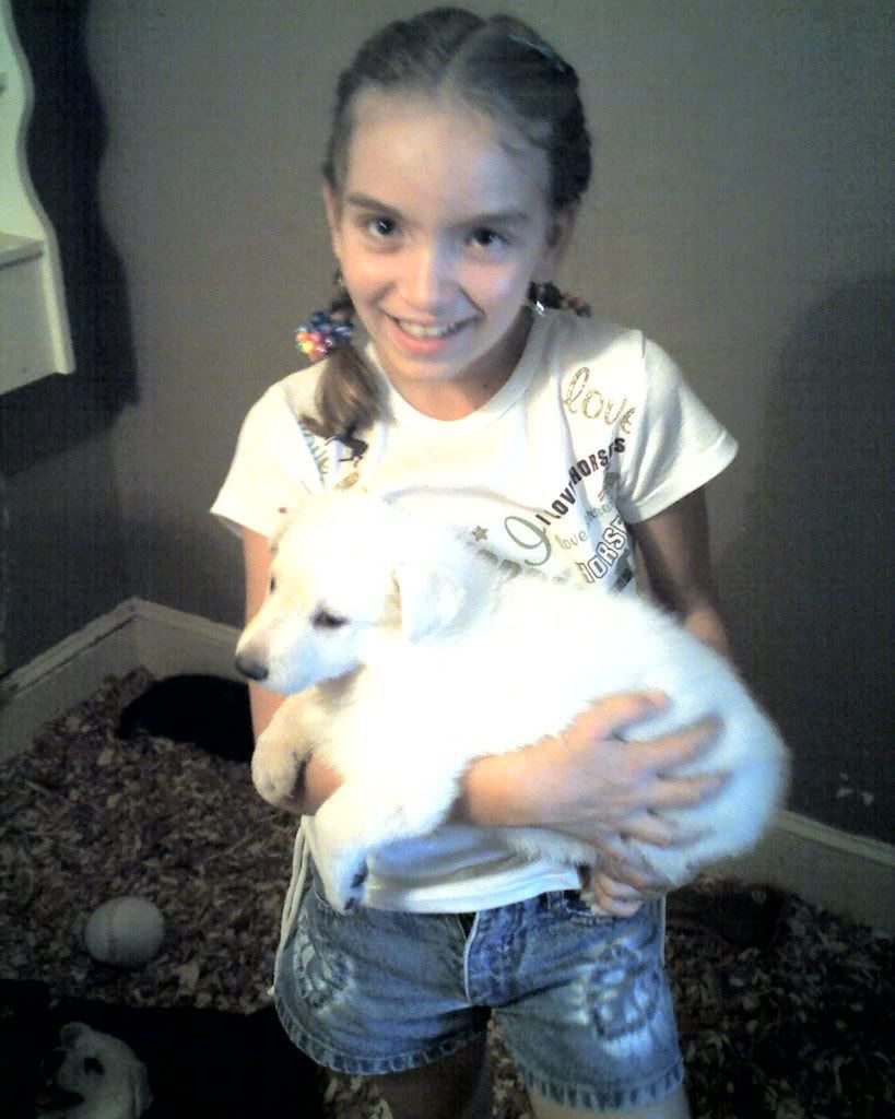puppies2004.jpg